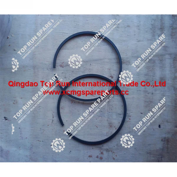 seal-ring-402221