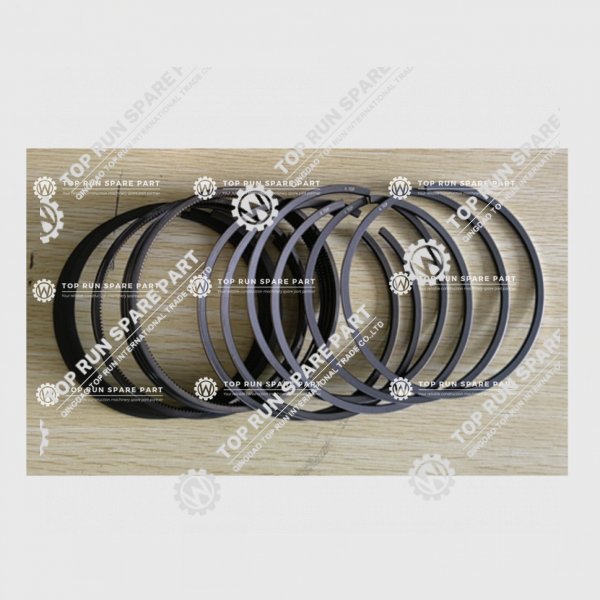 Piston Ring