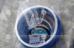 XCMG QY60K truck crane spare parts send to Ecuador by DHL