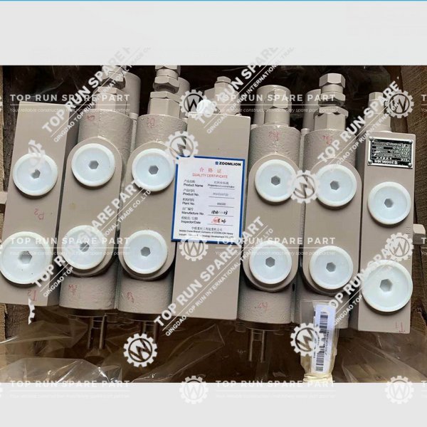 Proportional Control Valve  1010300720