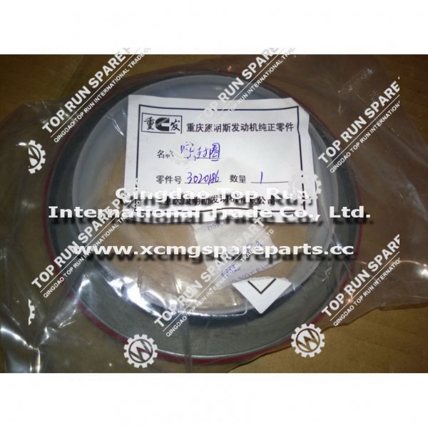 Seal-ring-oil-3020186