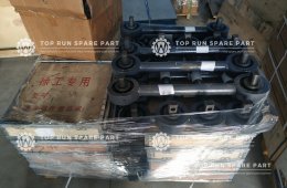 Algeria customer's XCMG parts order package in progress