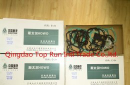 WD615 EURO III engine parts to Mozabique