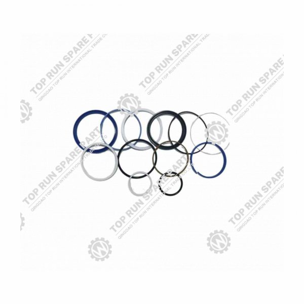 CHANG JIANG Seal kit vertical outrigger (rear)