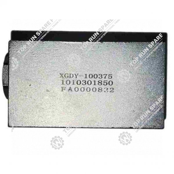 OUTRIGGER CHECK VALVE - ZOOMLION ZMC60/ZMC75 1010301850