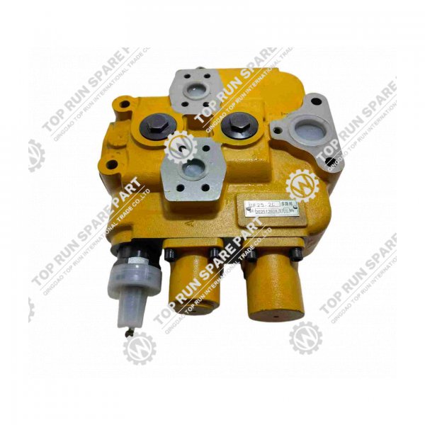 DISTRIBUTION VALVE 803004065