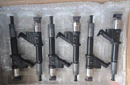 Injetor Original DENSO CW095000-8100