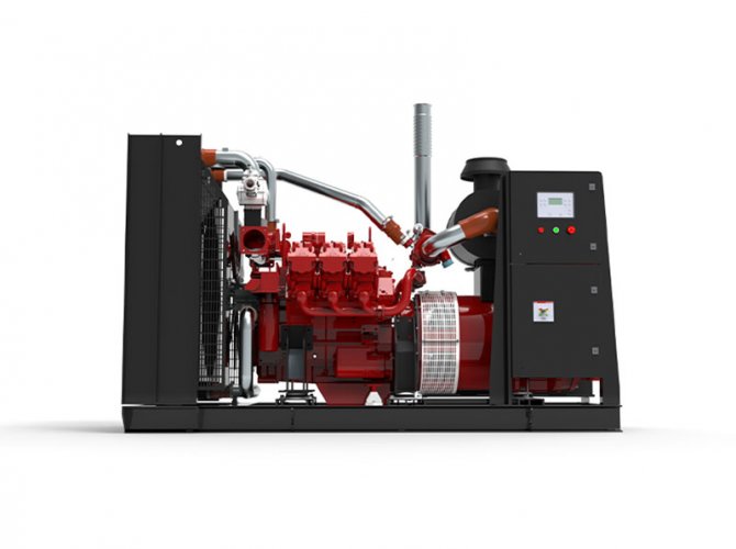 220kw HC6V132 Deutz Biogas generator power plant