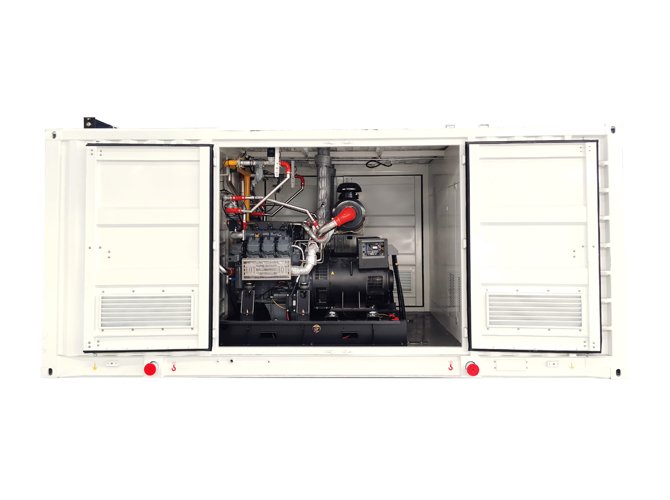 EN Natural Gas Generator