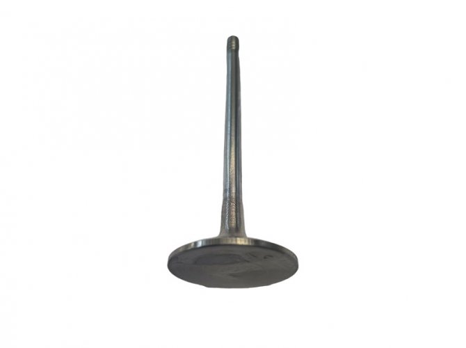 Intake/exhaust valve 