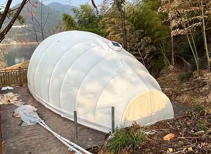 Luxurious seashell tent