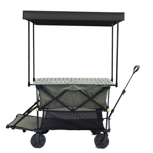 Two-Tier Foldable Shopping Cart FW3022 with Extra Storage