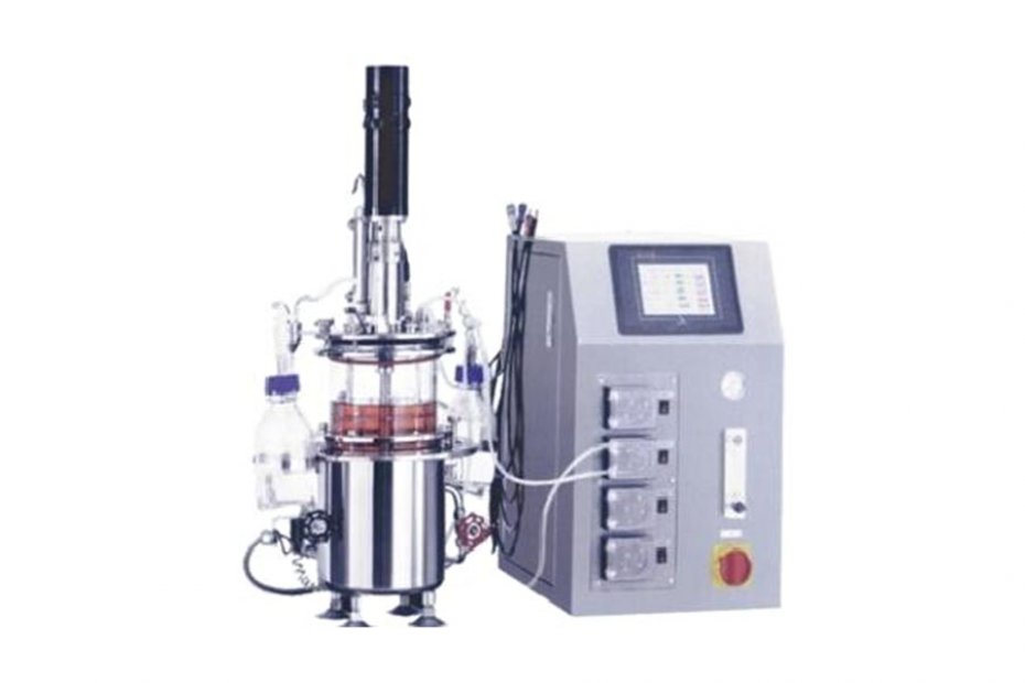 Mechanically stirred glass fermentation tank