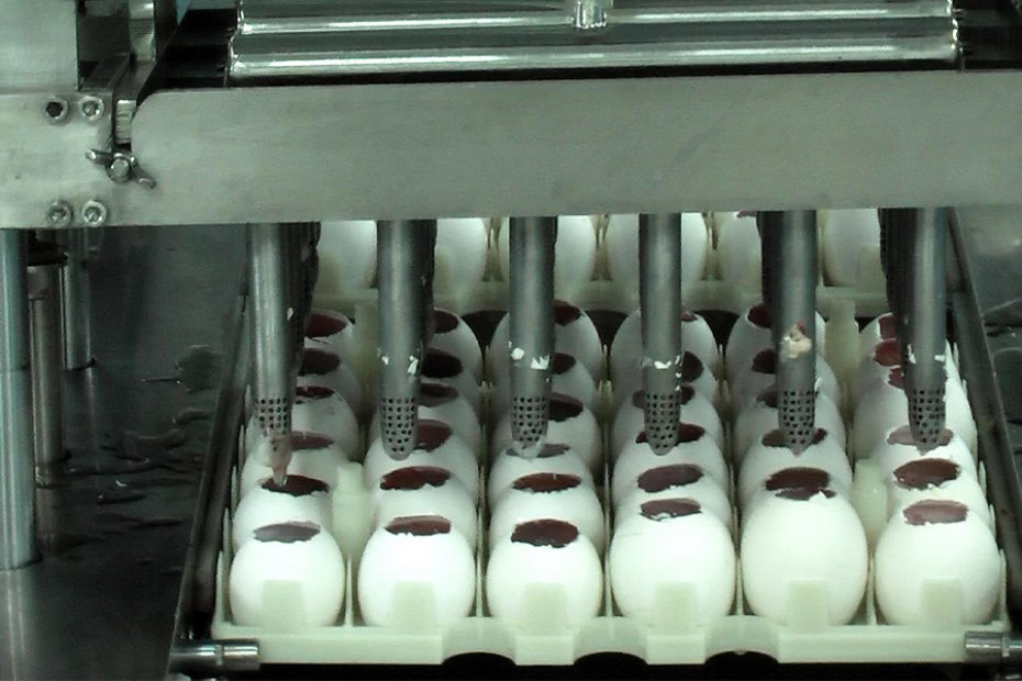 Egg peeling equipment