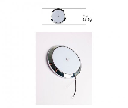 Dome Light
