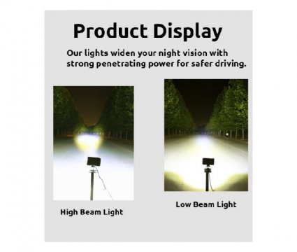 Scene Lights