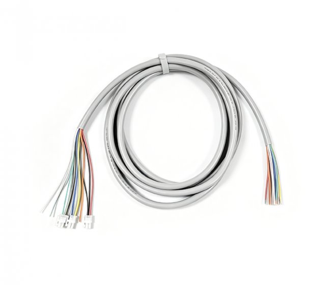 Main Wiring Harness