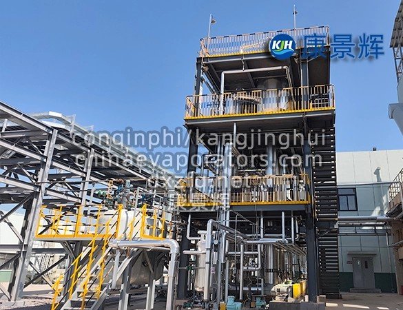 Protein Concentrate High-Salinity Mother Liquor Treatment