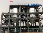 High-viscosity liquid processing evaporator