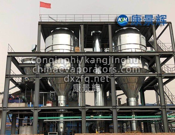 High-viscosity liquid processing evaporator