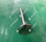exhaut valve (4)