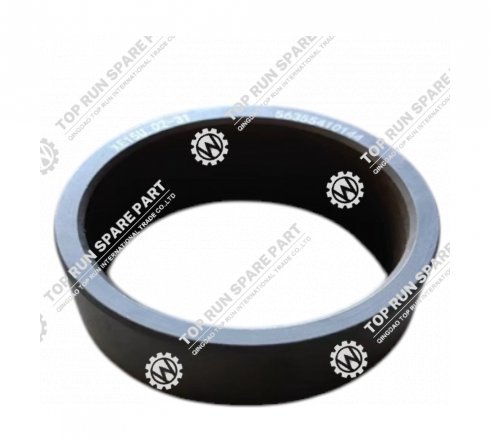 Bushing 310103169