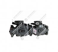Casappa Tendem pumps  (4)
