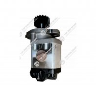 2.Steering Pump 803083973