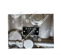 Injection pump 3938384 (3)