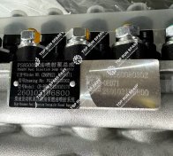 2.Fuel Injection Pump VG1560080302