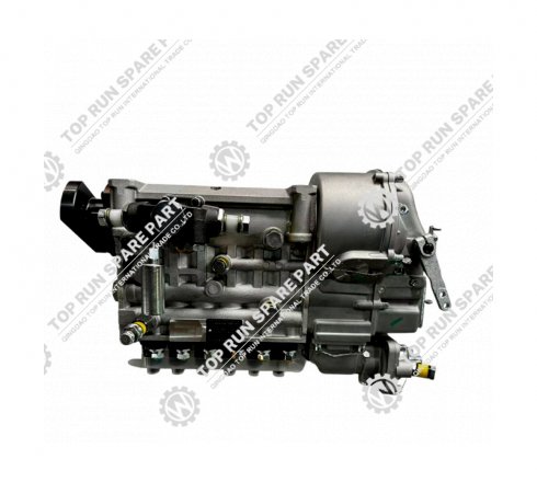 Fuel Injection Pump VG1560080302 for XCMG 50TON Truck crane parts