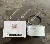 Fuel filter 1001556933 (2)