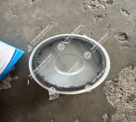 Fuel filter 1001556933 (3)