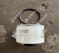 Fuel filter 1001556933 (4)