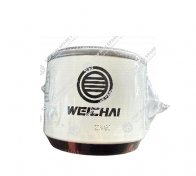 Fuel filter 1001556933 (1)