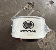 Fuel filter 1001556933 (1)