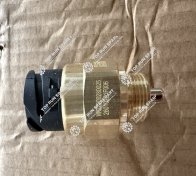 Pressure switch WG2209280025 (6)