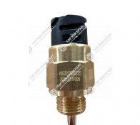 Pressure switch WG2209280025 (2)