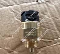 Pressure switch WG2209280025 (7)