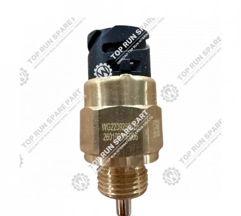 Pressure switch WG2209280025