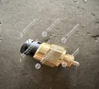 Pressure switch WG2209280025 (1)