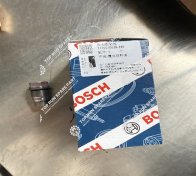 Pressure limiting valve 1110010028-390 (1)