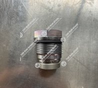 Pressure limiting valve 1110010028-390 (4)