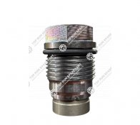 Pressure limiting valve 1110010028-390 (1)