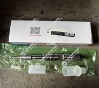 Fuel injector 1004432553 (1)