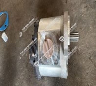 Steering pump 804024842 (4)