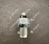 Speed sensor 3967252 (1)