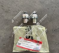 Speed sensor 3967252 (2)