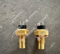 Water temperature sensor 3979176 (2)