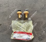 Water temperature sensor 3979176 (3)